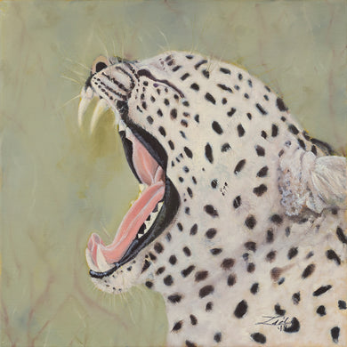 Oil painting of a Leopard with his mouth wide open. Original painting size 16” x 16”